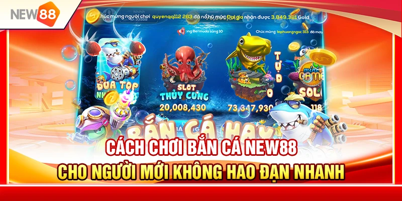 Cách Chơi Bắn Cá NEW88 Cho Người Mới Không Hao Đạn Nhanh 4 Cách Chơi Bắn Cá NEW88 Cho Người Mới Không Hao Đạn Nhanh