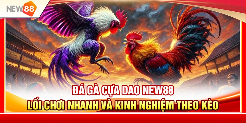 Đá Gà Cựa Dao NEW88 – Lối Chơi Nhanh Và Kinh Nghiệm Theo Kèo 2 Đá Gà Cựa Dao NEW88 – Lối Chơi Nhanh Và Kinh Nghiệm Theo Kèo
