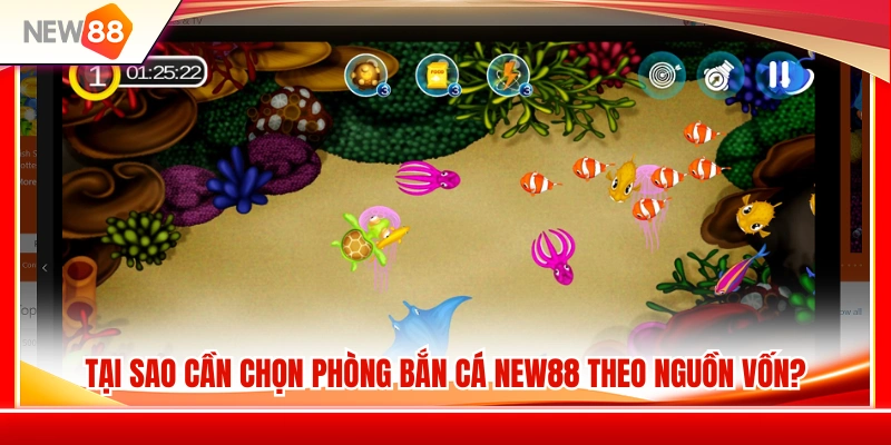 Lý do cần cân nhắc nguồn vốn trước khi tham gia bắn cá NEW88 