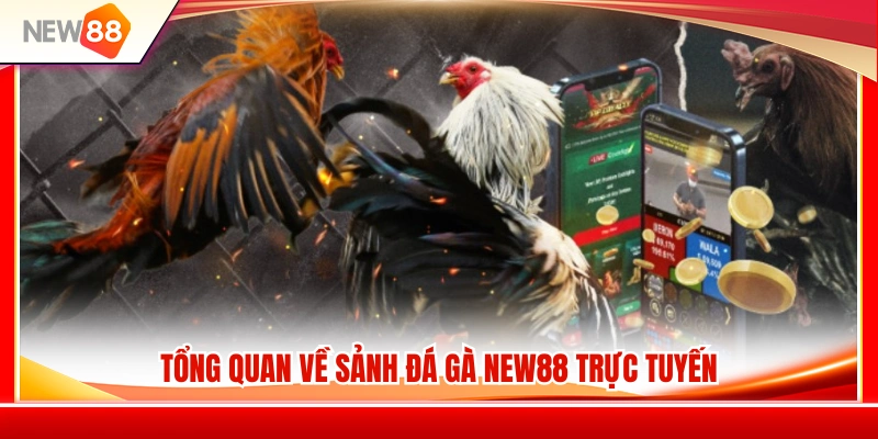 Giới thiệu chi tiết về sân chơi đá gà NEW88 trực tuyến