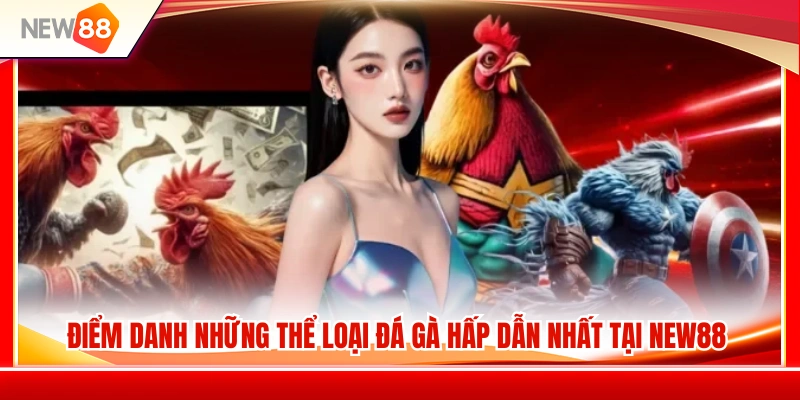 Những loại hình nổi bật thu hút kê thủ 