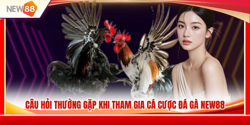 Giải đáp những thắc mắc phổ biến về đá gà NEW88 