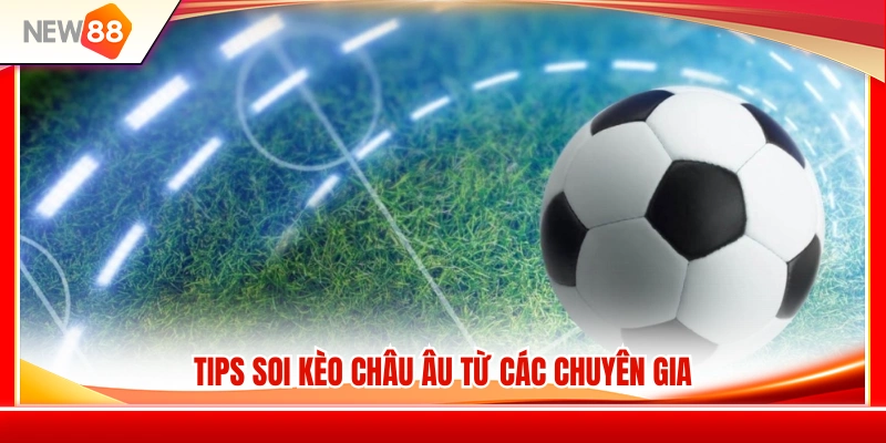 Kinh nghiệm phân tích kèo châu Âu từ cao thủ cá cược 