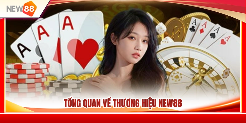 Khám phá những thông tin cơ bản về nhà cái NEW88 