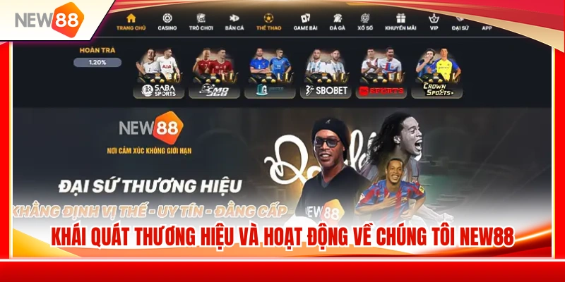 Tổng quan về chúng tôi NEW88 và định hướng hoạt động 